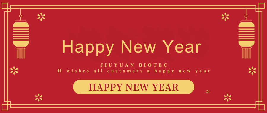 happy new year happy new year